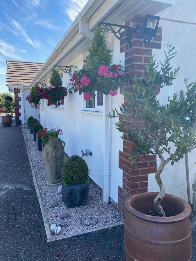 Toppesfield House B&B Bude Exterior photo