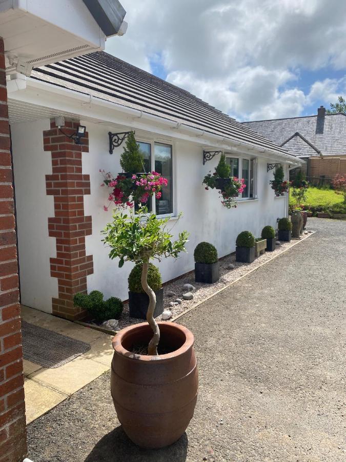 Toppesfield House B&B Bude Exterior photo
