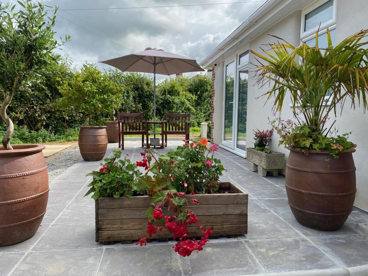 Toppesfield House B&B Bude Exterior photo