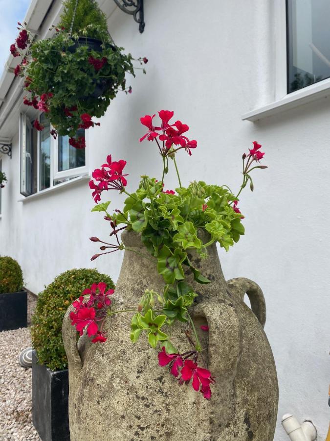 Toppesfield House B&B Bude Exterior photo
