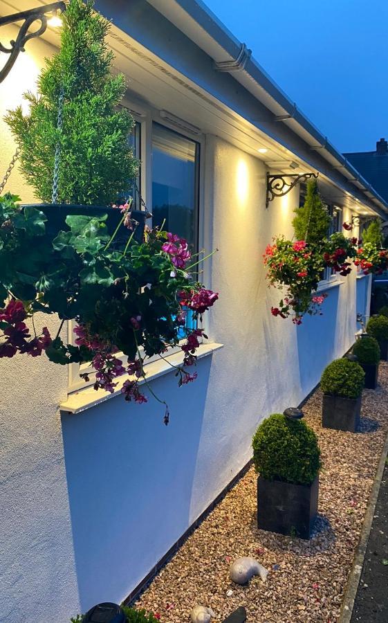 Toppesfield House B&B Bude Exterior photo