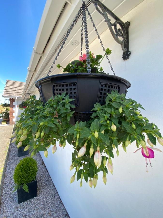 Toppesfield House B&B Bude Exterior photo