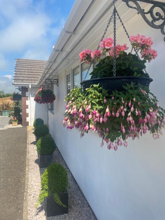 Toppesfield House B&B Bude Exterior photo