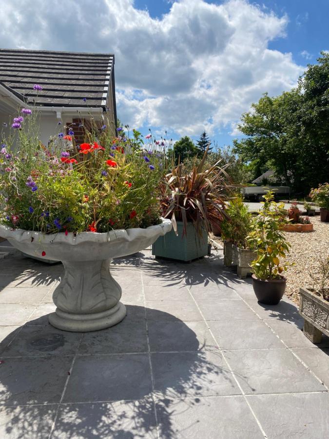 Toppesfield House B&B Bude Exterior photo